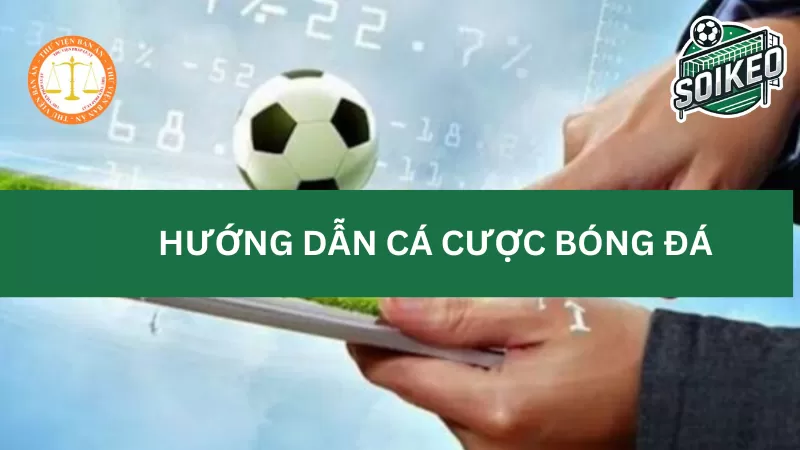 Các bước cơ bản để bắt đầu cá cược bóng đá