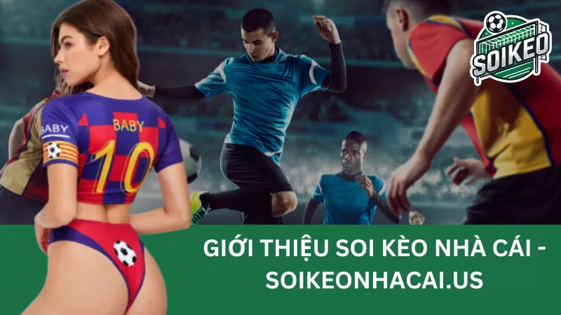 Soikeonhacai.fun - Tự tin soi kèo đón nhận chiến thắng