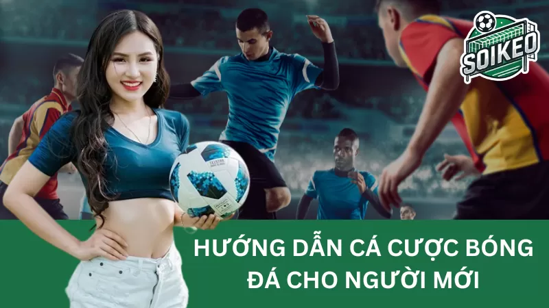 Hướng dẫn cá cược bóng đá cho người mới bắt đầu