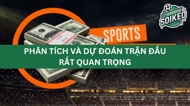 Xem xét điều kiện trận đấu