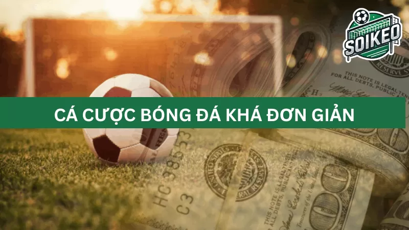 Cách đọc và hiểu các tỷ lệ kèo