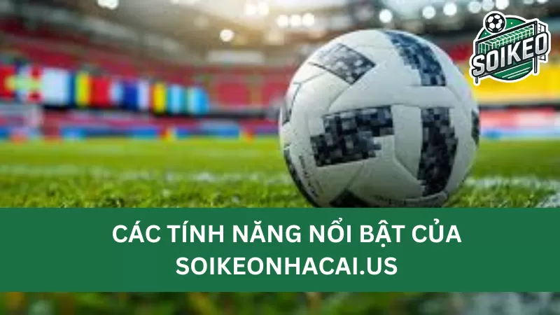 Các tính năng nổi bật của trang soikeonhacai.fun