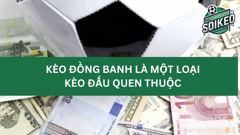 Tìm hiểu sơ lược về kèo chấp 0 (kèo đồng banh) trước khi chinh phục nó