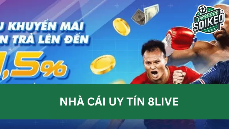 Hướng dẫn đăng ký tài khoản 8Live thành công 100%