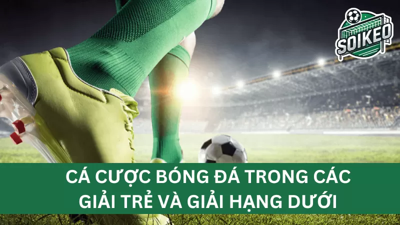 Các cơ hội khi đặt cược vào những giải đấu này